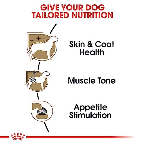 Royal Canin Breed Health Nutrition Poodle Loaf in Sauce Adult Canned Dog Food - 3 Oz - Case of 24