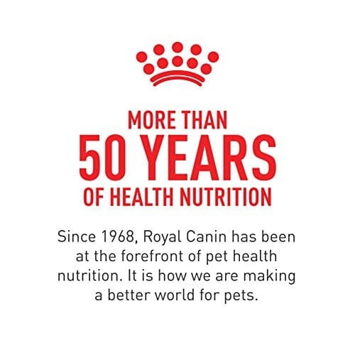 Royal Canin Breed Health Nutrition Shih Tzu Loaf in Sauce Adult Canned Dog Food - 3 Oz - Case of 24