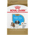 Royal Canin Breed Health Nutrition Shih Tzu Puppy Dry Dog Food  