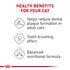 Royal Canin Dental Oral Care Formula Dry Cat Food - 3 Lbs  