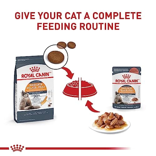 Royal Canin Feline Care Nutrition Hair and Skin Support Beauty Chunks in Gravy Wet Cat Food Pouch - 3 Oz - Case of 12