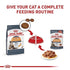 Royal Canin Feline Care Nutrition Hair and Skin Support Beauty Chunks in Gravy Wet Cat Food Pouch - 3 Oz - Case of 12