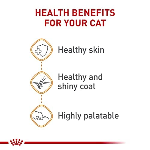 Royal Canin Feline Care Nutrition Hair and Skin Support Beauty Chunks in Gravy Wet Cat Food Pouch - 3 Oz - Case of 12
