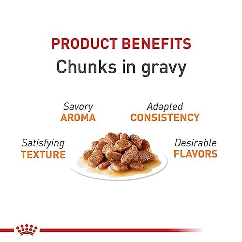 Royal Canin Feline Care Nutrition Hair and Skin Support Beauty Chunks in Gravy Wet Cat Food Pouch - 3 Oz - Case of 12