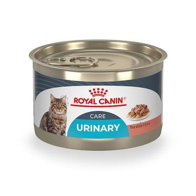 Royal Canin Feline Care Nutrition Urinary Care Thin Slices in Gravy Adult Canned Cat Food - 5.1 Oz - Case of 24 Default Title