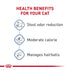 Royal Canin Feline Health Nutrition Indoor Adult Dry Cat Food - 3 Lbs  