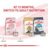 Royal Canin Feline Health Nutrition Kitten Dry Kitten Food  