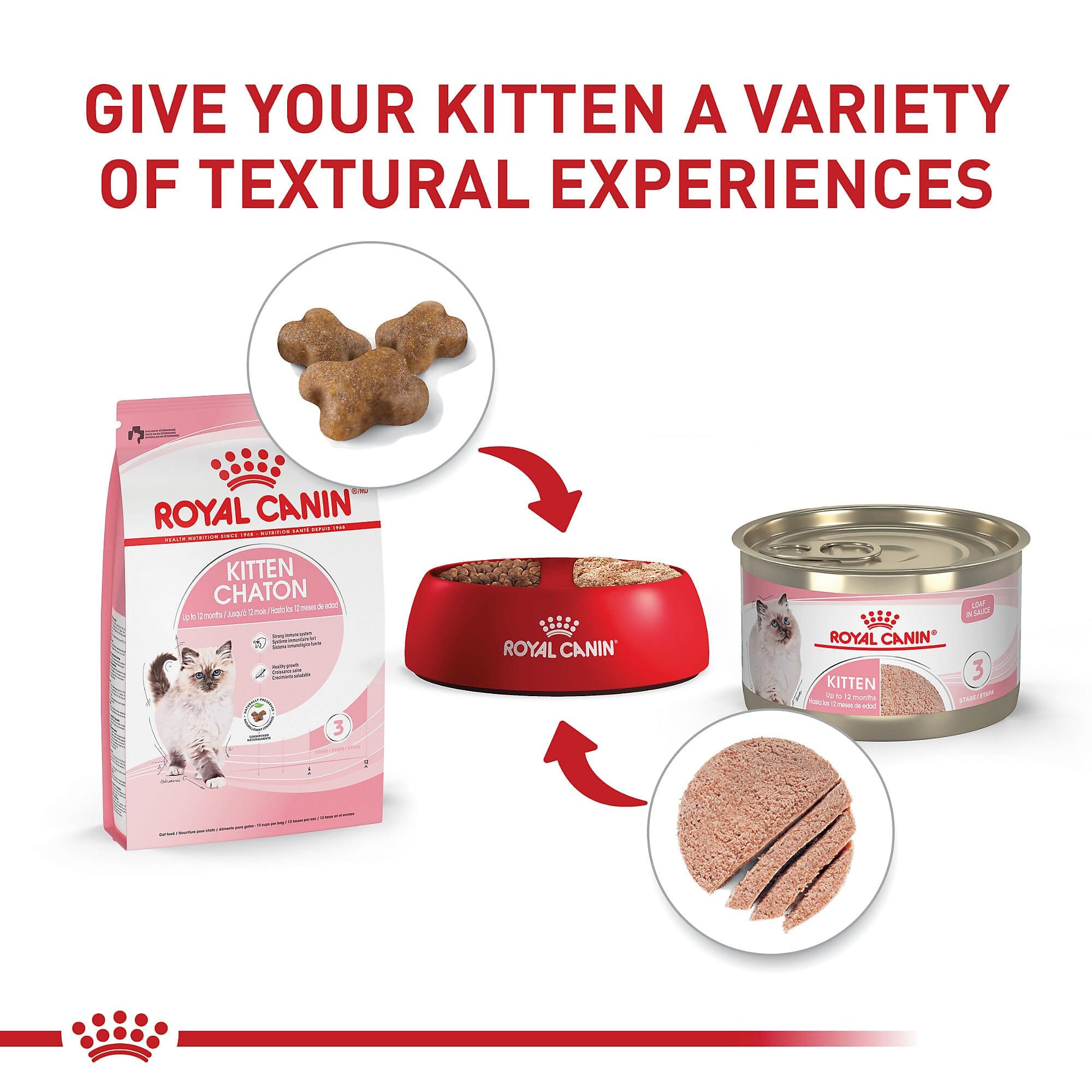 Royal Canin Feline Health Nutrition Kitten Dry Kitten Food  