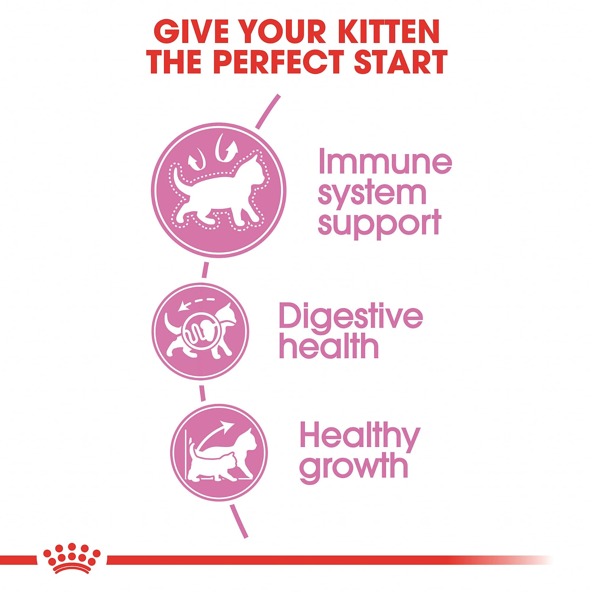 Royal Canin Feline Health Nutrition Kitten Dry Kitten Food  