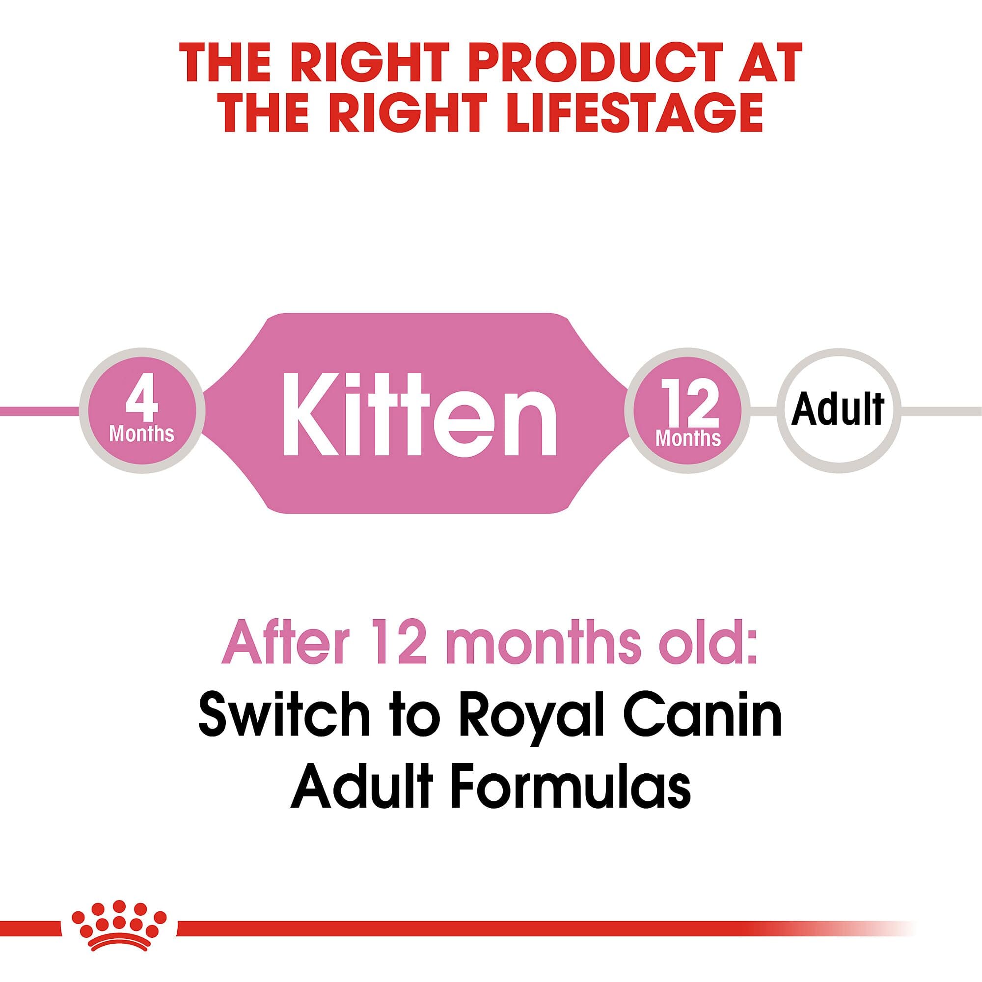 Royal Canin Feline Health Nutrition Kitten Dry Kitten Food  