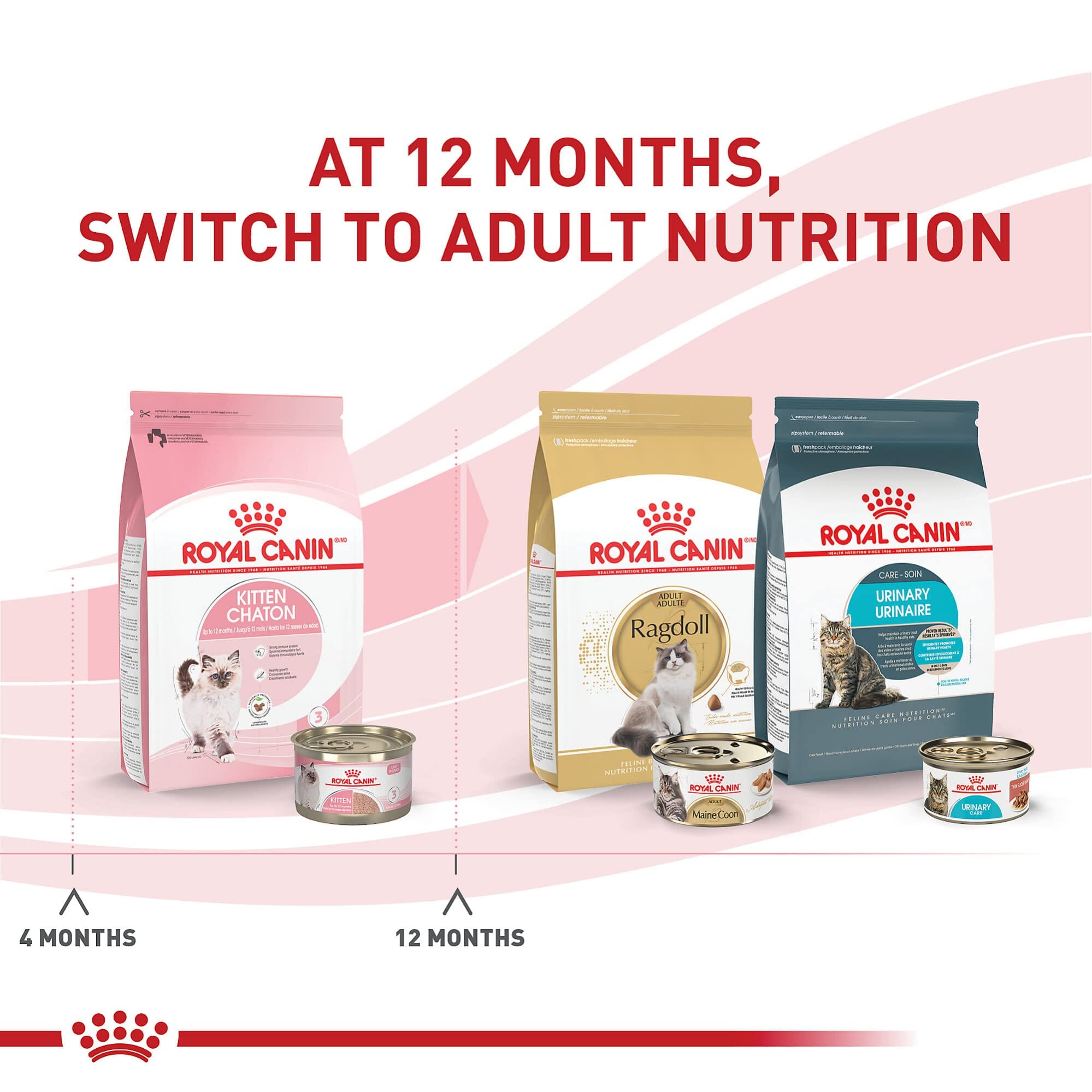 Royal Canin Feline Health Nutrition Mother and Kitten Mousse in Sauce Formula Canned Cat Food - 5.1 Oz - Case of 24  
