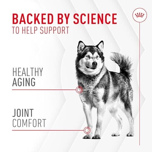 Royal Canin Joint Care Adult Soft Chew Dog Supplements - 8.47 Oz - 60 Count