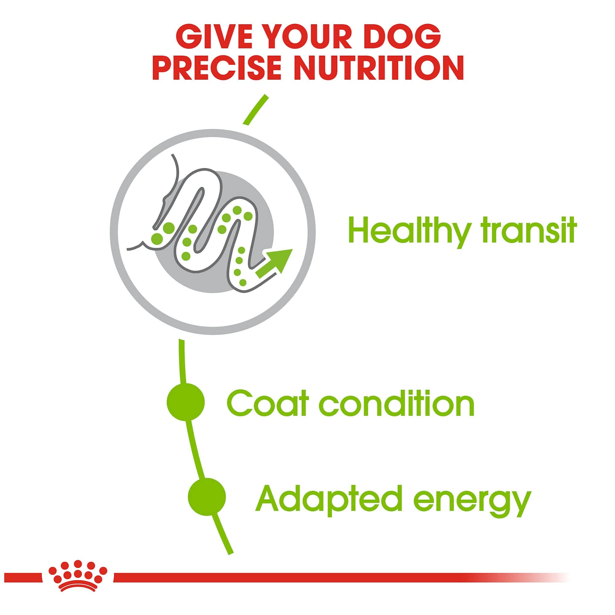 Royal Canin Size Health Nutrition Extra-Small Breed Adult Dry Dog Food - 2.5 Lbs  