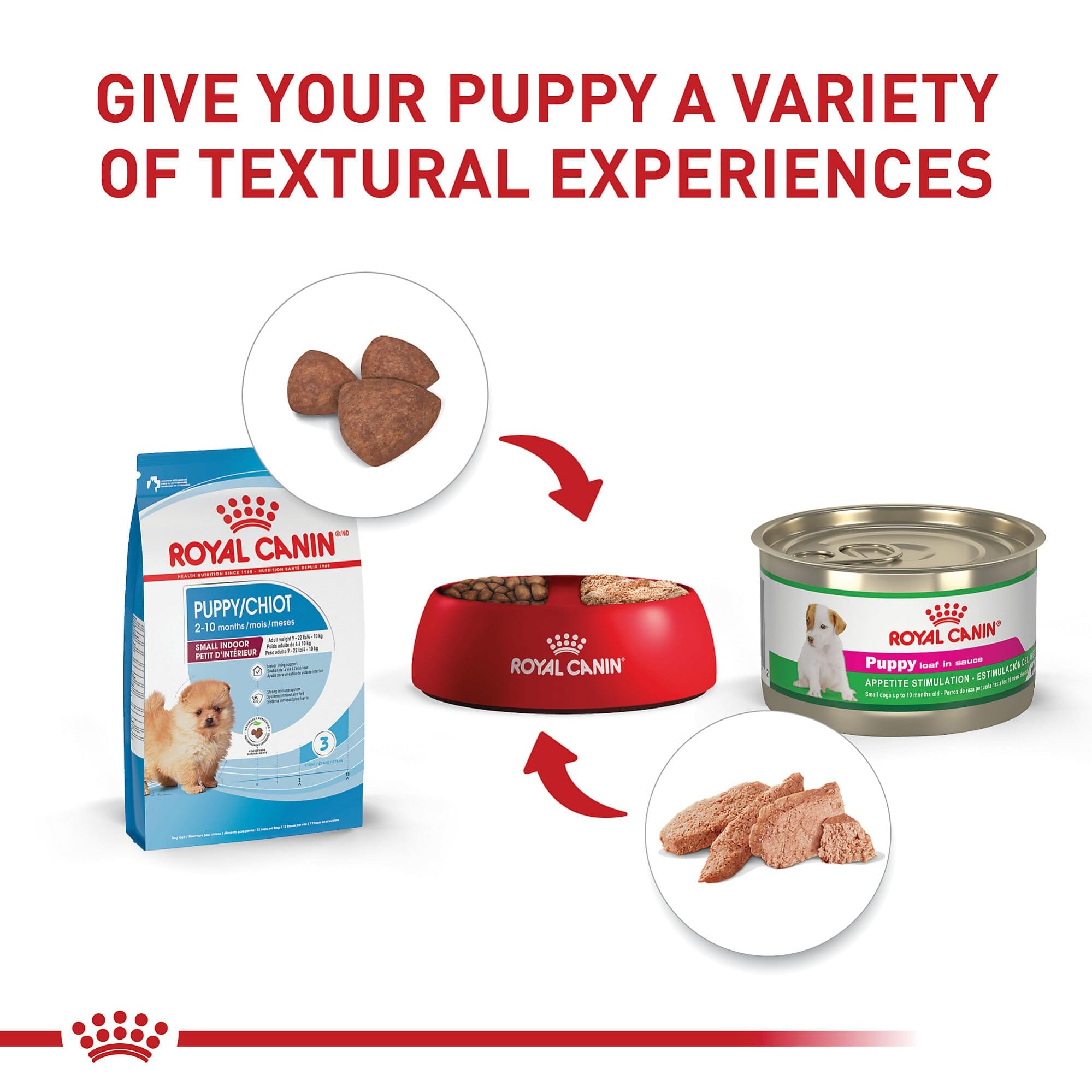 Royal Canin Size Health Nutrition Indoor Small-Breed Puppy Dry Dog Food - 2.5 Lbs  