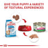 Royal Canin Size Health Nutrition Indoor Small-Breed Puppy Dry Dog Food - 2.5 Lbs  