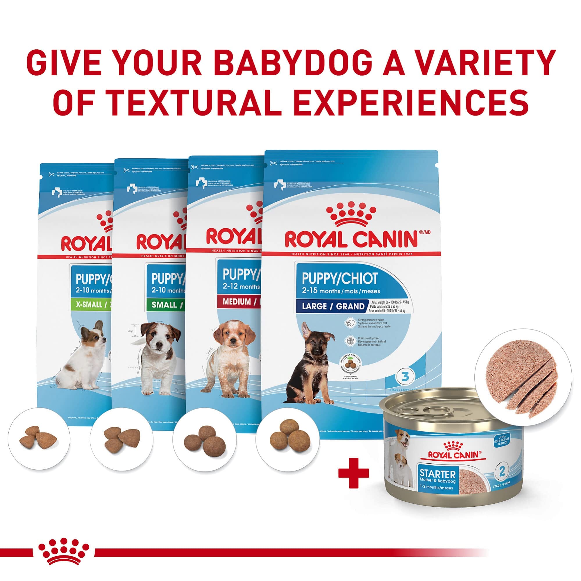 Royal Canin Size Health Nutrition Starter Mother and Babydog Mousse in Sauce Canned Dog Food - 5.1 Oz - Case of 24  