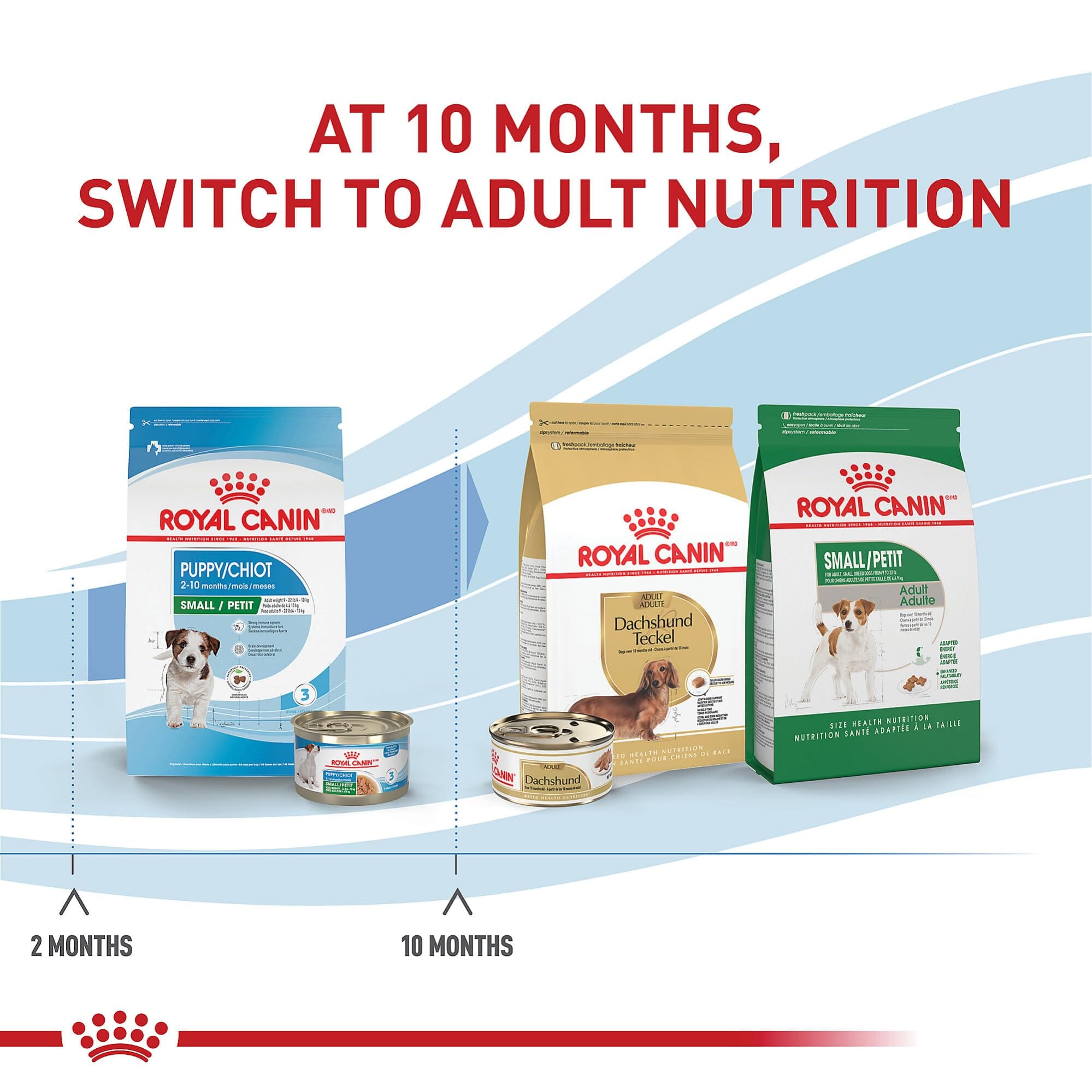 Royal Canin Size Health Nutrition Thin Slices in Gravy Extra Small-Breed Puppy Wet Dog Food - 3 Oz - Case of 24  