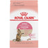 Royal Canin Spayed or Neutered Dry Kitten Food  