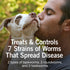 Sentry WormX + 7 Way De-Wormer Tablets for Medium and Large Dogs - 6 Count  