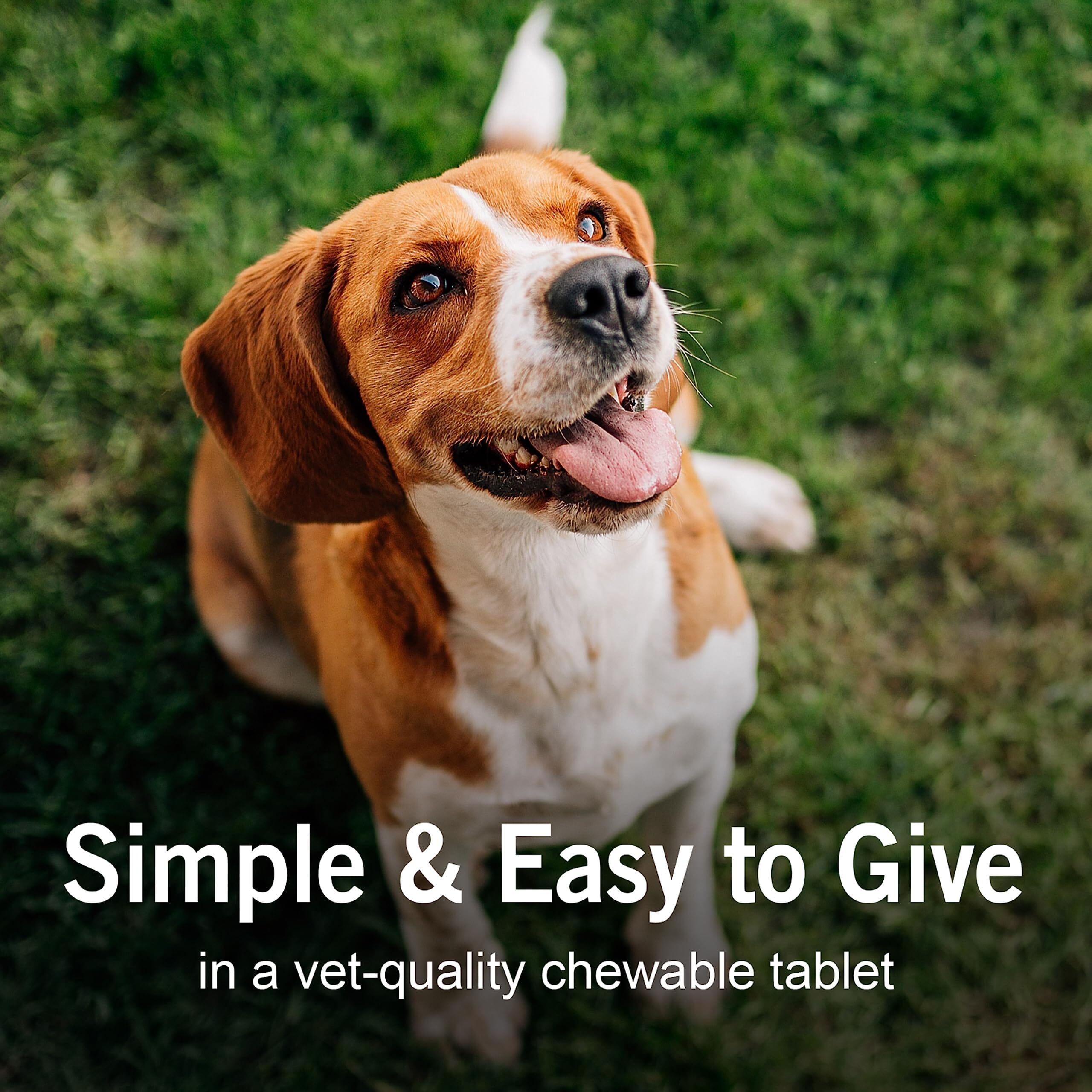 Sentry WormX + 7 Way De-Wormer Tablets for Medium and Large Dogs - 6 Count  