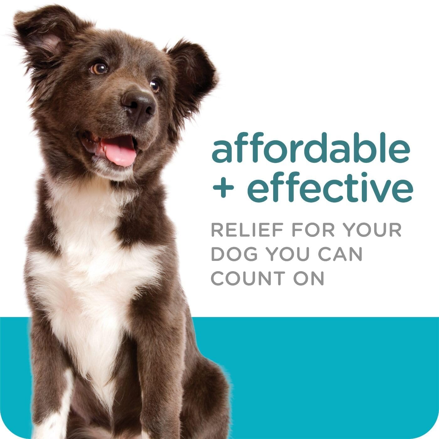 Sergeant's Guardian Flea & Tick Topical for Dogs 3 Count  