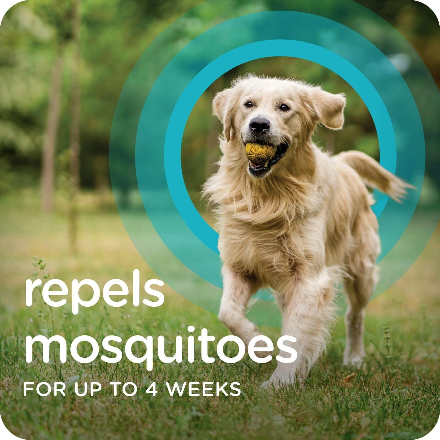 Sergeant's Guardian Flea & Tick Topical for Dogs 3 Count  