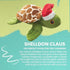 Snugarooz Holiday Shelldon Claus with Repair Patch Squeak and Crinkle Plush Dog Toy - 8 Inch