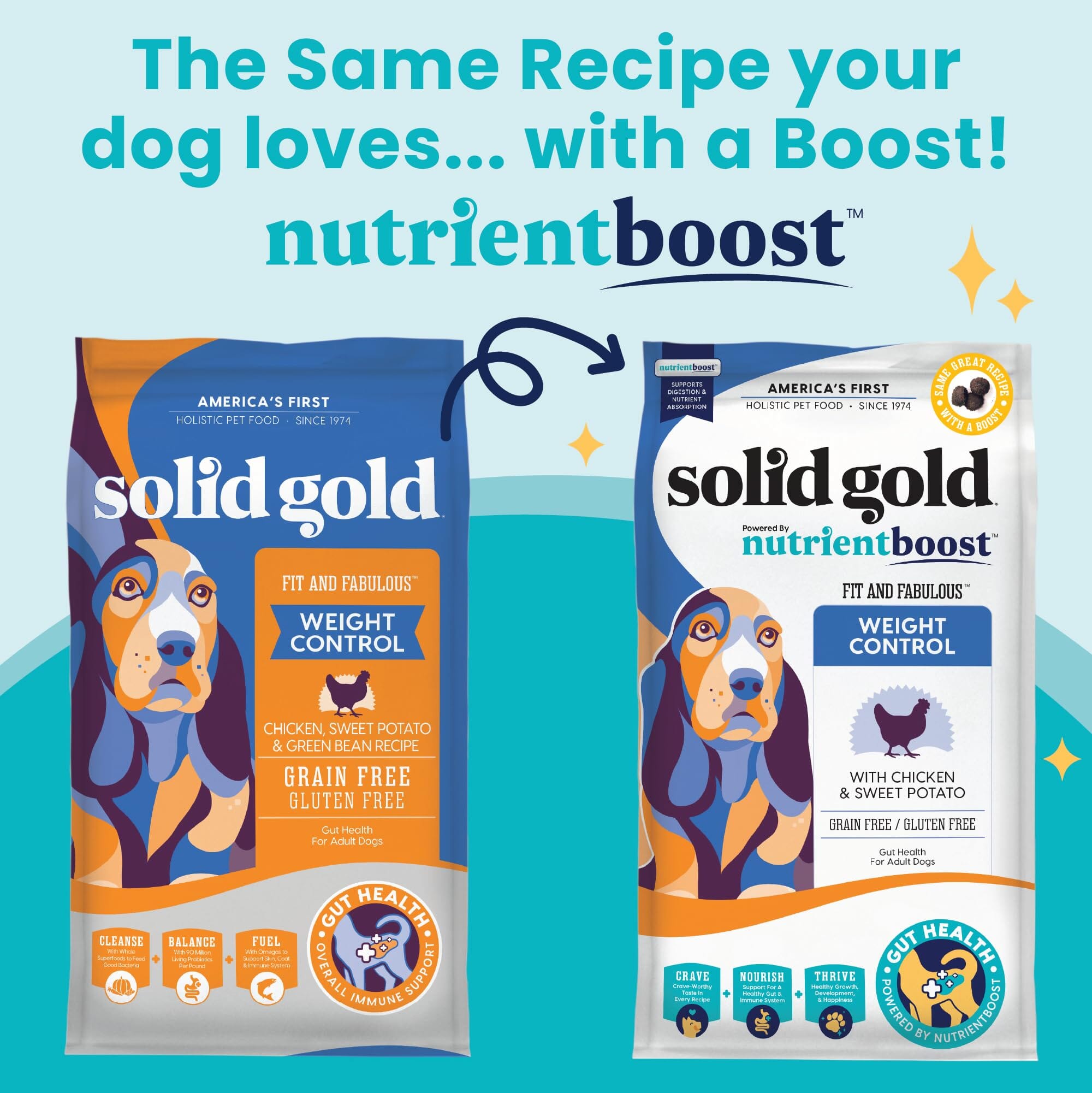 Solid Gold Fit and Fabulous Weight Control Chicken Loaf Sweet Potato and Beans Adult Canned Dog Food - 3.2 Oz - Case of 6  