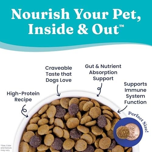 Solid Gold NutrientBoost Bark At The Moon Grain-Free Muscle Gut and Immune Beef Egg and Pea Dry Dog Food - 22 Lbs