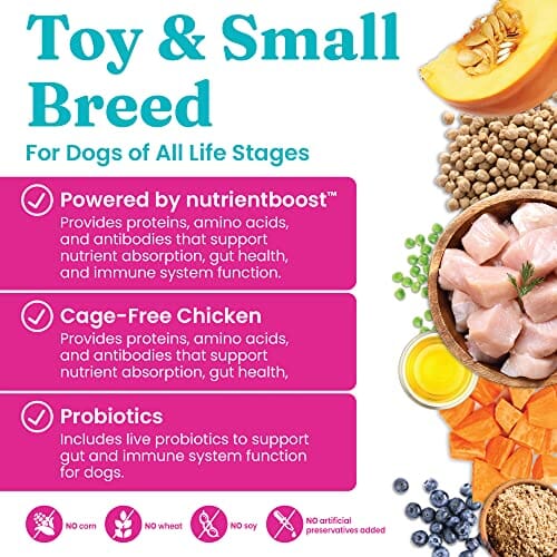Solid Gold NutrientBoost Gut Health Grain-Free Mighty Mini Chicken Chickpea and Pumpkin Toy-and-Small-Breed Dry Dog Food - 11 Lbs