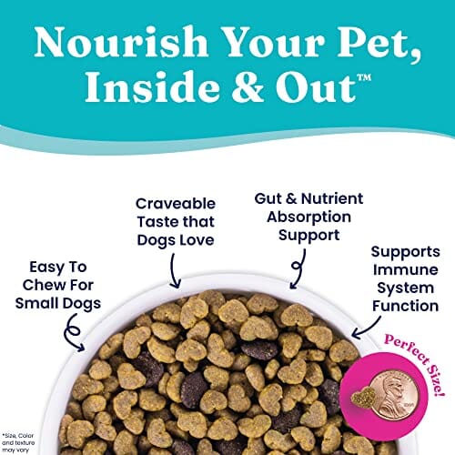 Solid Gold NutrientBoost Gut Health Grain-Free Mighty Mini Chicken Chickpea and Pumpkin Toy-and-Small-Breed Dry Dog Food - 11 Lbs