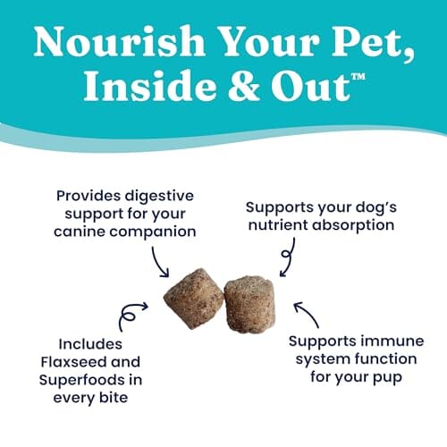 Solid Gold NutrientBoost Gut Health Pumpkin with Flaxseed Functional Soft and Chewy Dog Treats - 5.2 Oz