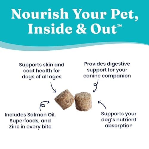 Solid Gold NutrientBoost Skin and Coat Health Peanut Butter with Salmon Oil Functional Soft and Chewy Dog Treats - 5.2 Oz