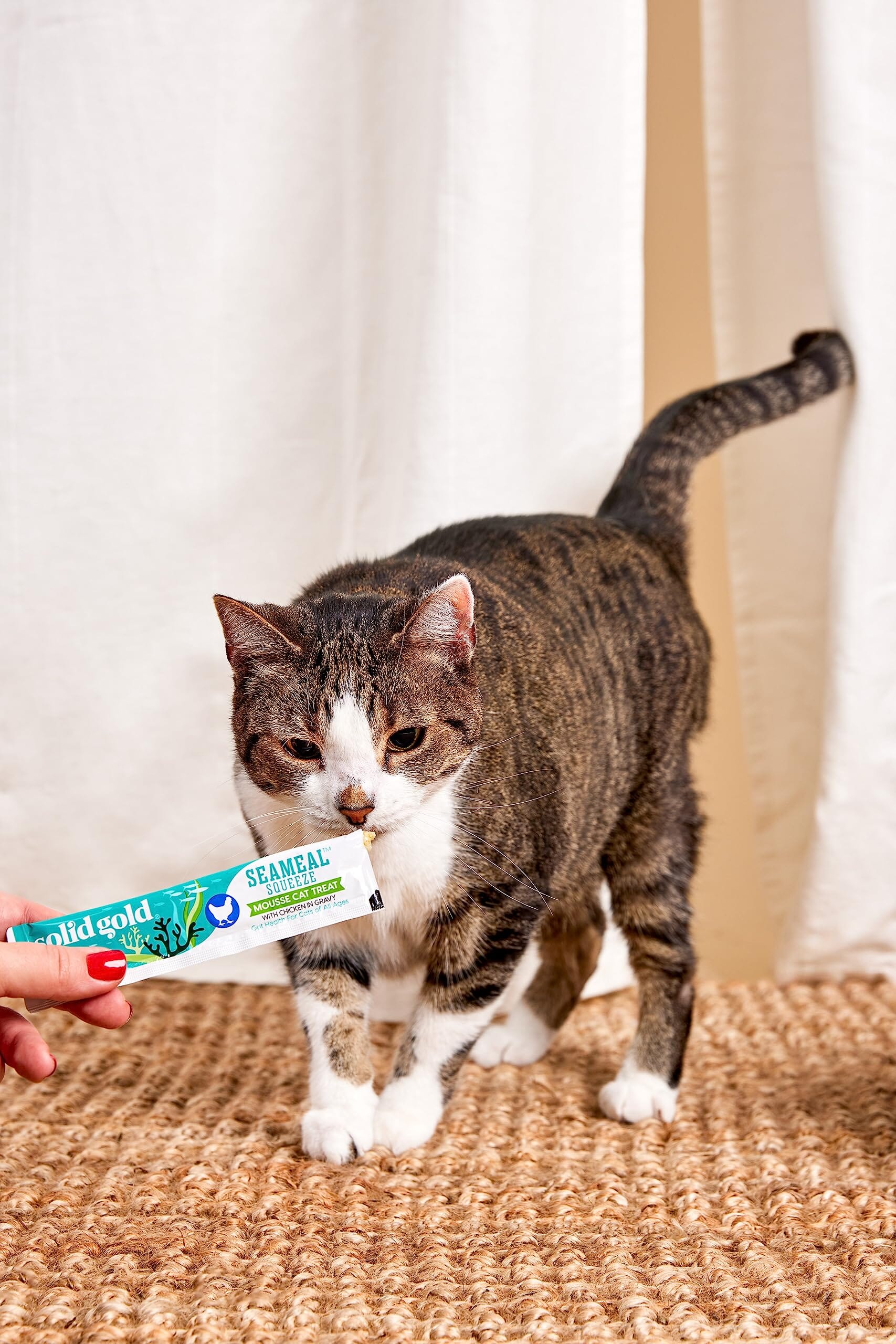 Solid Gold SeaMeal Squeeze Squeezable Mousse Salmon with Gravy Cat Treats - 2 Oz - Case of 24  