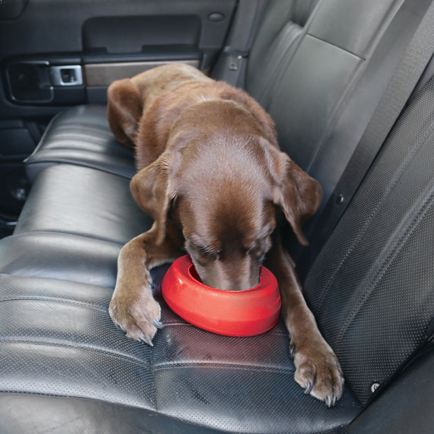 Kurgo Splash-Free No-Spill Dog Bowl