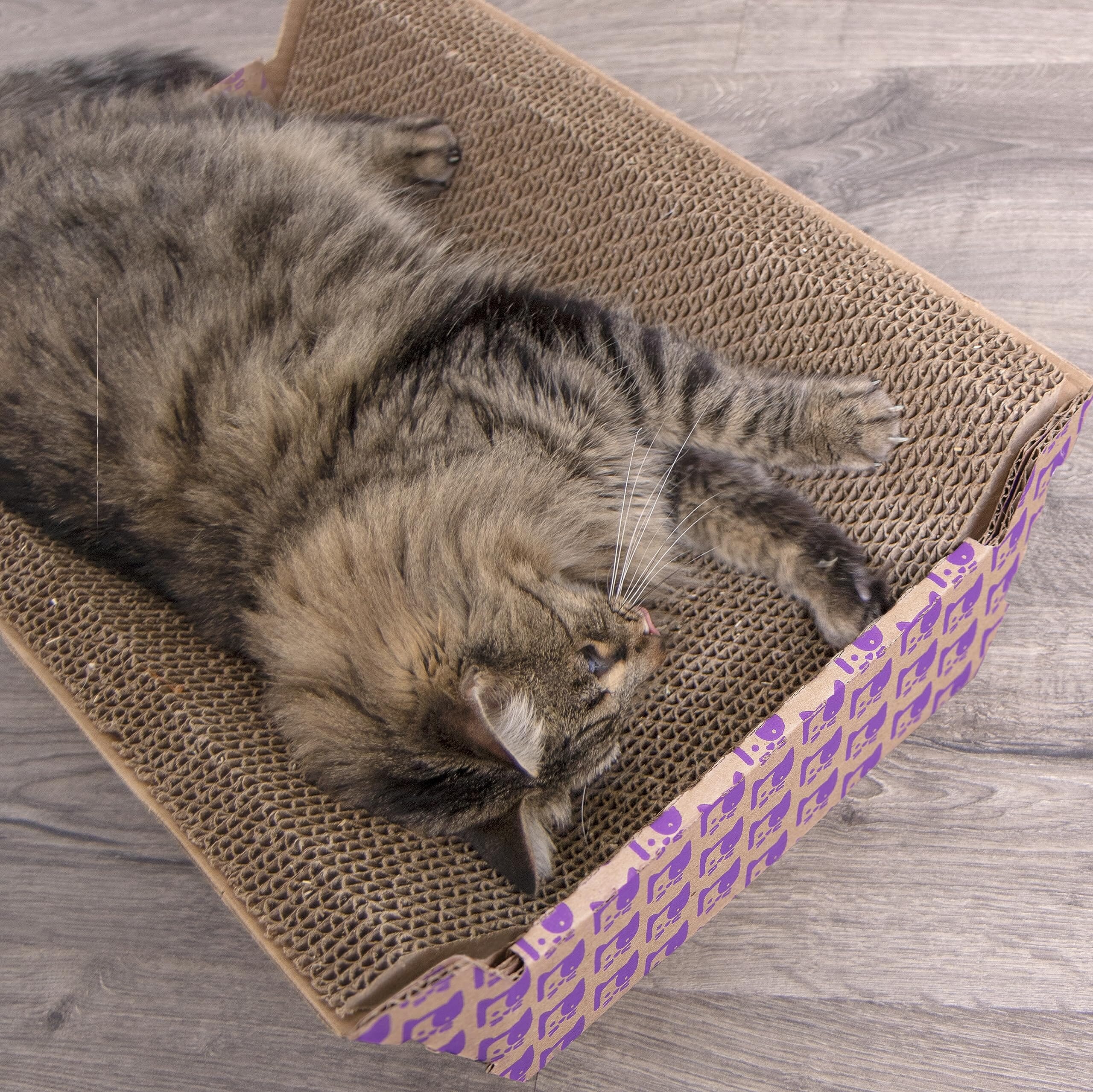 SPOT Ethical Cat Scratcher Bed with Catnip - 17