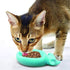 SPOT Ethical Doc and Phoebe Cat Wet Food Feeder Fish - 5.75" Inch  