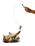 SPOT Ethical Prancer Cat Teaser Wand - Assorted - 44"  