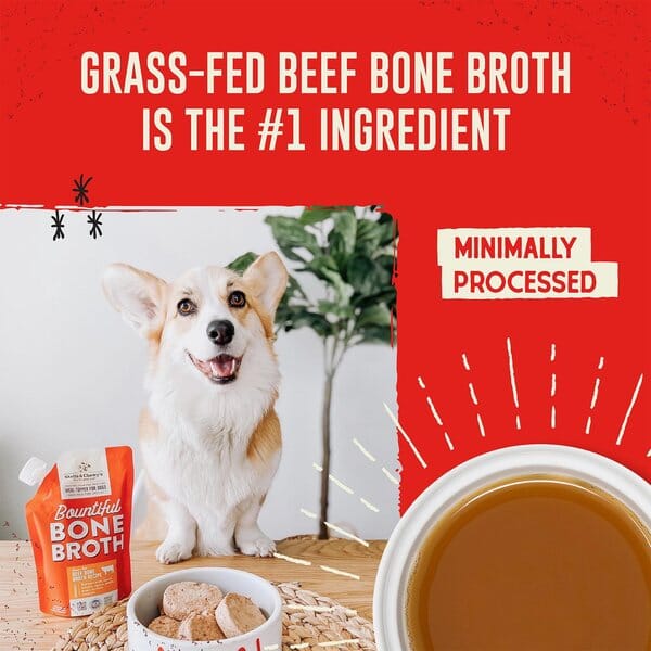 Stella & Chewy's Bountiful Bones Broth Beef Wet Dog Food - 16 Oz - Case of 6