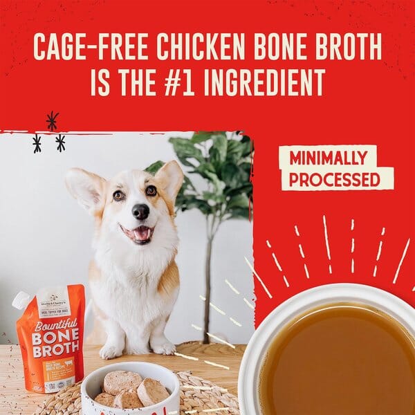 Stella & Chewy's Bountiful Bones Broth Chicken Wet Dog Food - 16 Oz