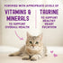 Stella & Chewy's Carnivore Cravings Morsals N' Gravy Chicken and Liver  Wet Cat Food Pouch - 2.8 Oz - Case of 24