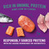 Stella & Chewy's Carnivore Cravings Morsals N' Gravy Salmon and Mackerel Wet Cat Food Pouch - 2.8 Oz - Case of 24