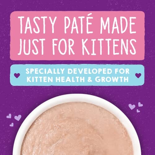 Stella & Chewy's Carnivore Cravings Pate Kitten Chicken Canned Cat Food - 2.8 Oz - Case of 24