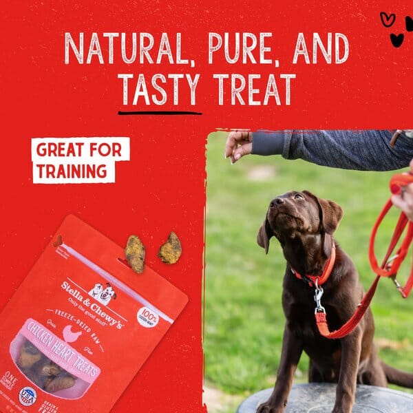 Stella & Chewy's Chicken HRTS Freeze Dried Dog Treats - 11.5 Oz