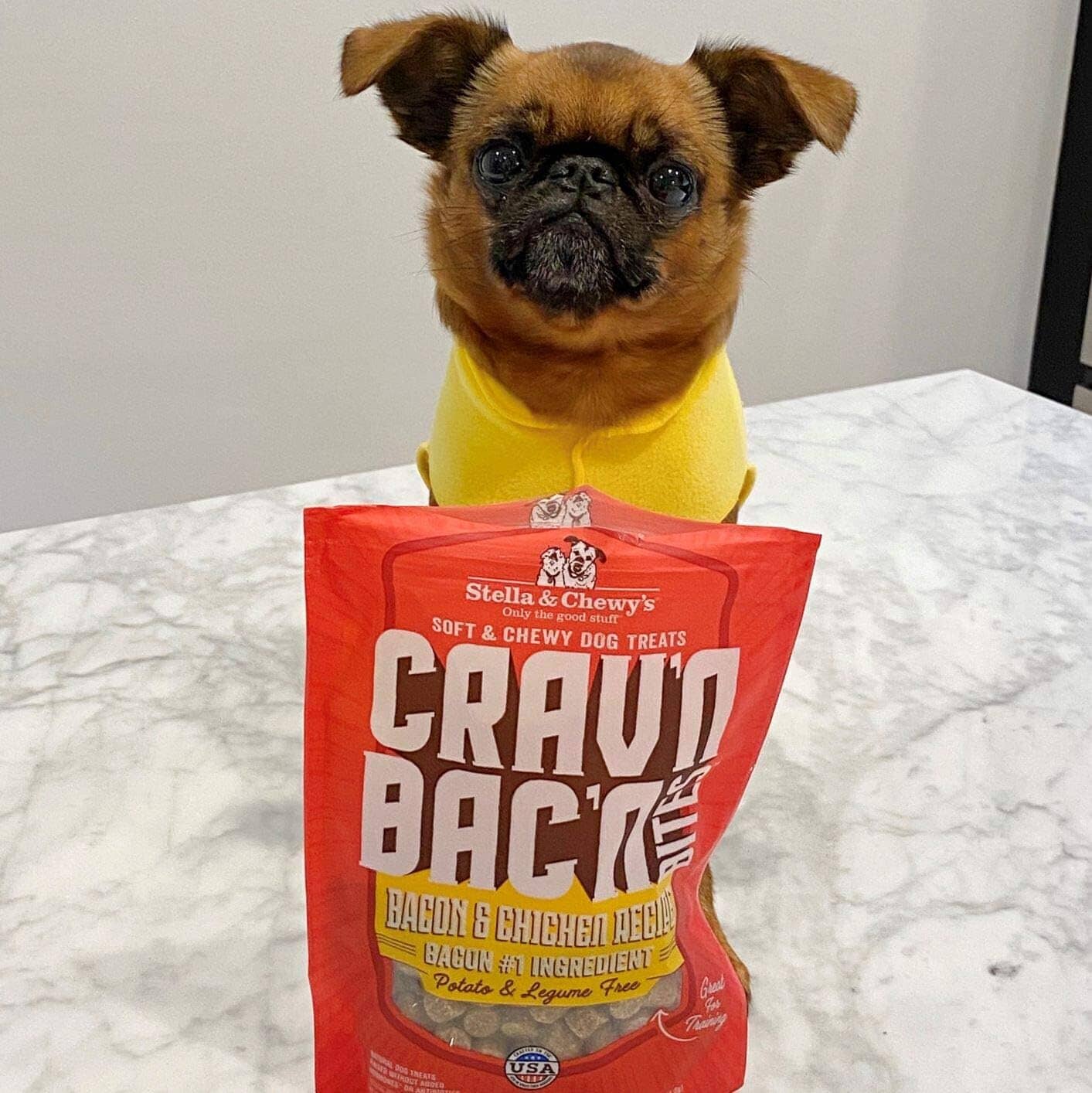 Stella & Chewy's Cravin' Bacon Bites Chicken Chewy Dog Treats - 8.25 Oz  