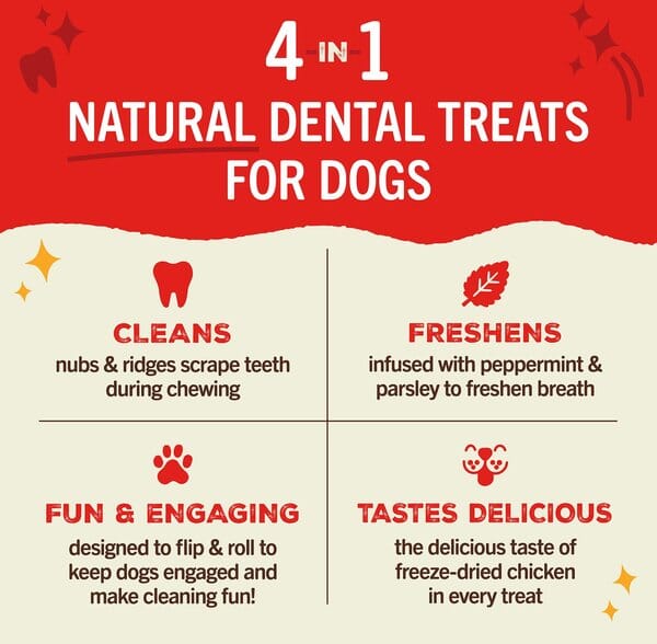 Stella & Chewy's Dental Delights Chicken Freeze-Dried Dental Dog Treats - Dogs 16-25 Lbs - Small