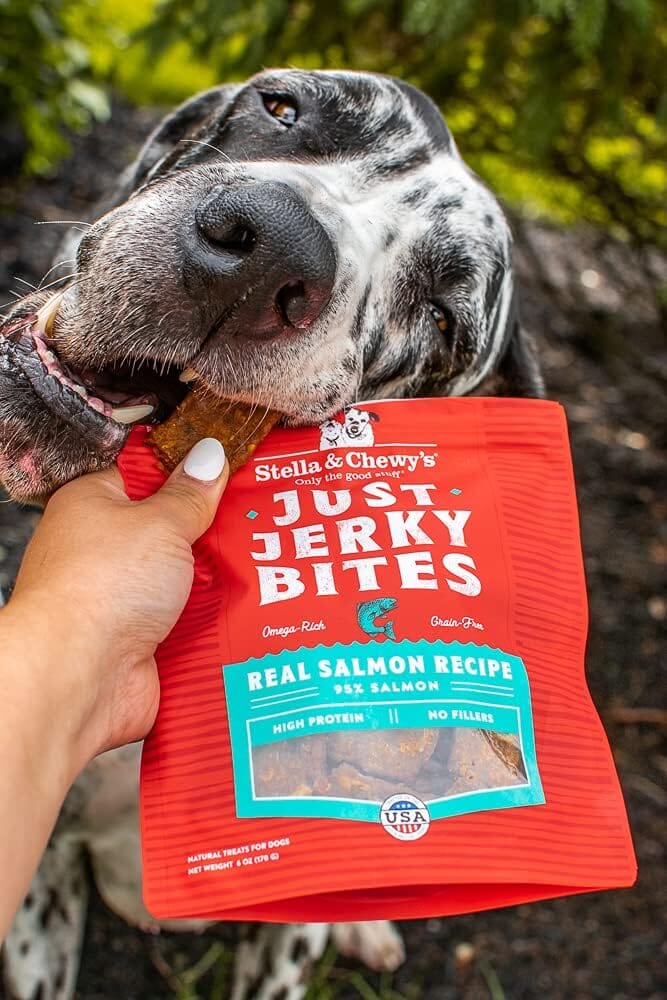 Stella & Chewy's Just Jerky Grain-Free Salmon - 6 Oz  