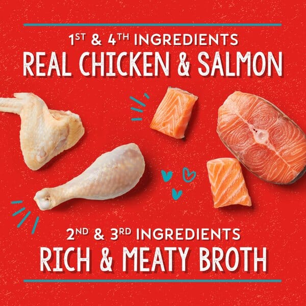 Stella & Chewy's Lil' Bites Stew Chicken Salmon Wet Dog Food - 2.7 Oz - Case of 12