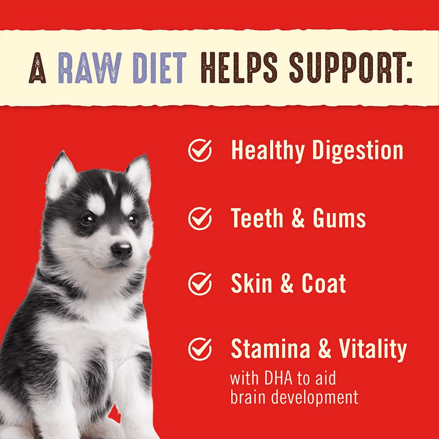 Stella & Chewy's Puppy Chicken and Salmon Freeze-Dried Dog Food - 14 Oz