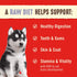 Stella & Chewy's Puppy Chicken and Salmon Freeze-Dried Dog Food - 14 Oz